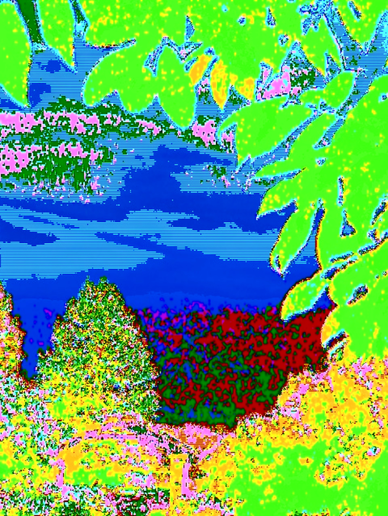 Circuitbent camera artwork 2