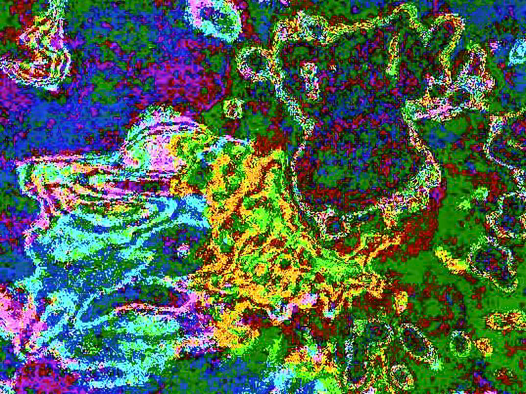 Circuitbent camera artwork 4