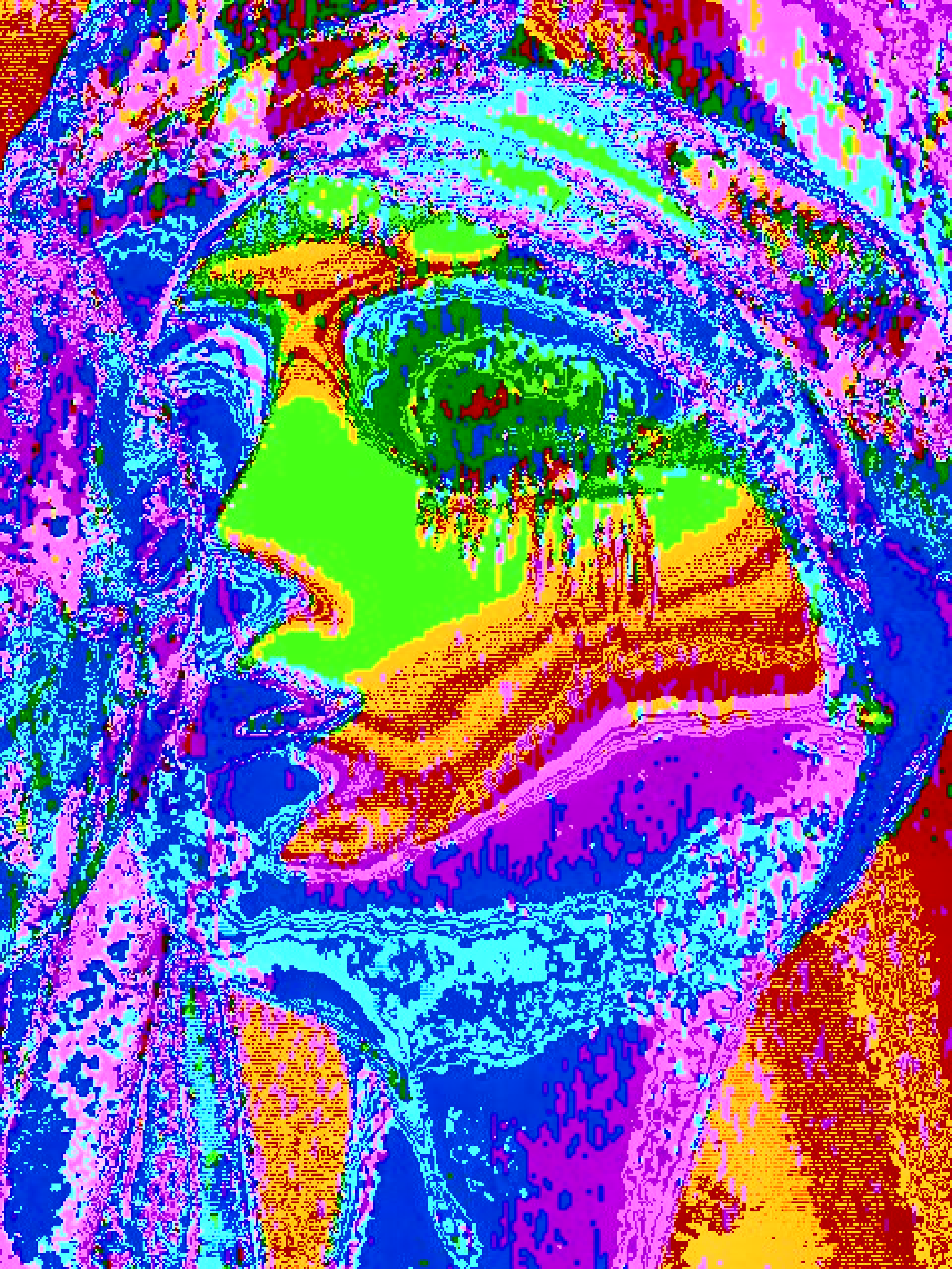 Circuitbent camera artwork 5