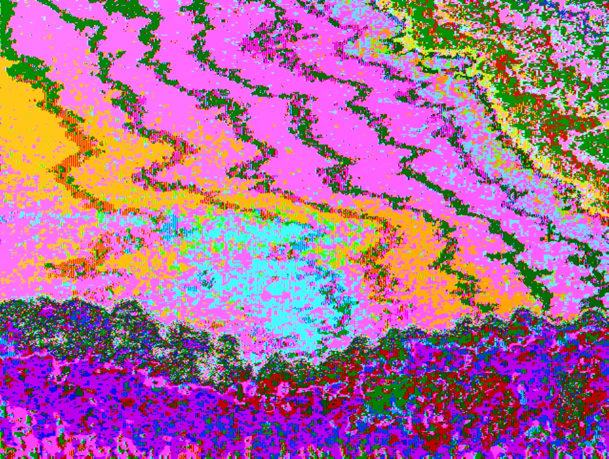 Magenta, cyan, and yellow digital interference branching across a noisy field